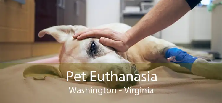 Pet Euthanasia Washington - Virginia