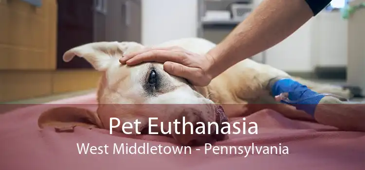 Pet Euthanasia West Middletown - Pennsylvania