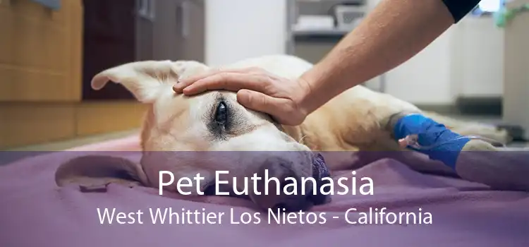Pet Euthanasia West Whittier Los Nietos - California