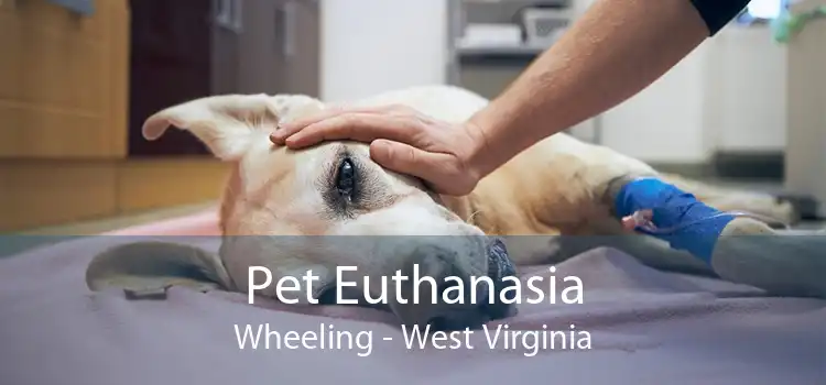 Pet Euthanasia Wheeling - West Virginia