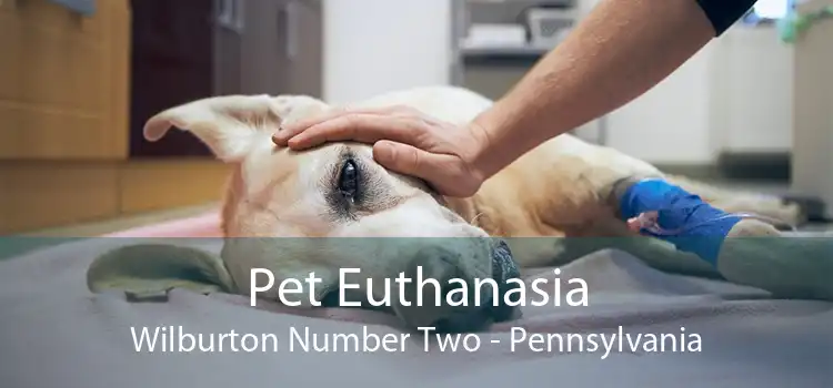 Pet Euthanasia Wilburton Number Two - Pennsylvania