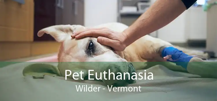 Pet Euthanasia Wilder - Vermont