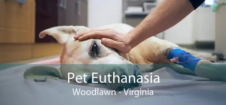 Pet Euthanasia Woodlawn - Virginia