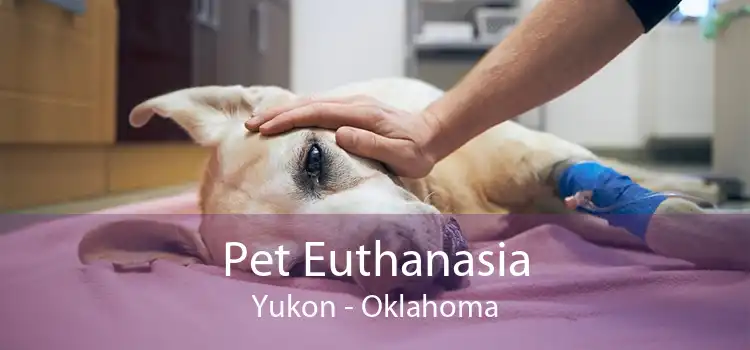 Pet Euthanasia Yukon - Oklahoma