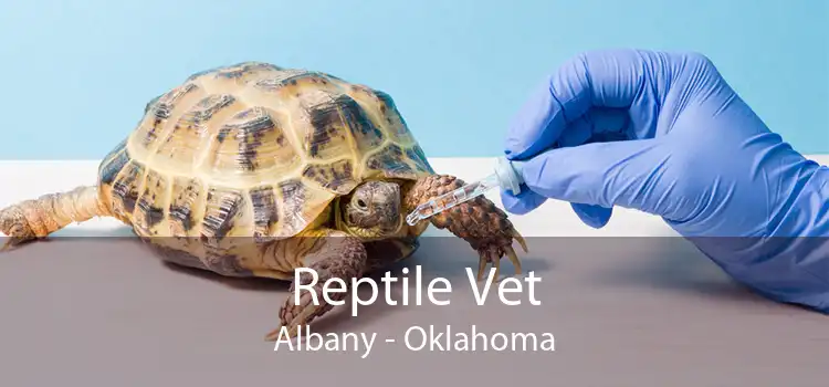 Reptile Vet Albany - Oklahoma