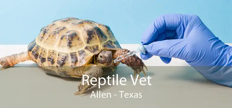 Reptile Vet Allen - Texas