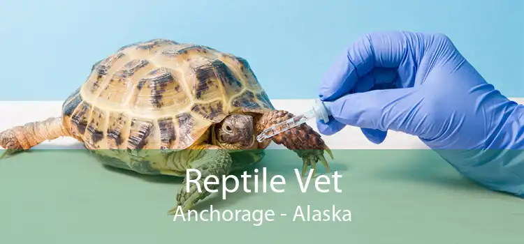 Reptile Vet Anchorage - Alaska