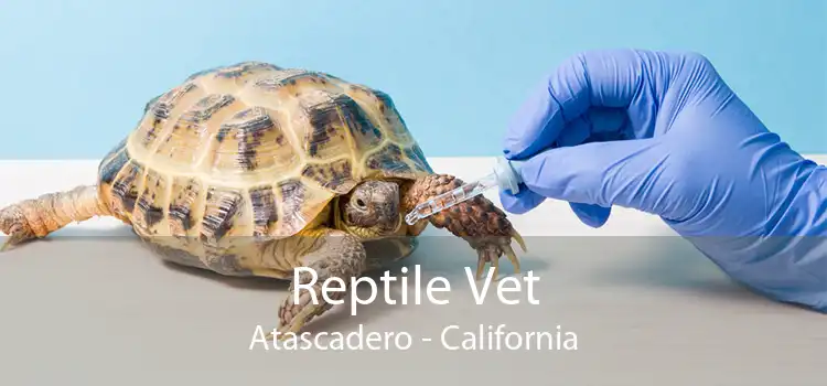 Reptile Vet Atascadero - California