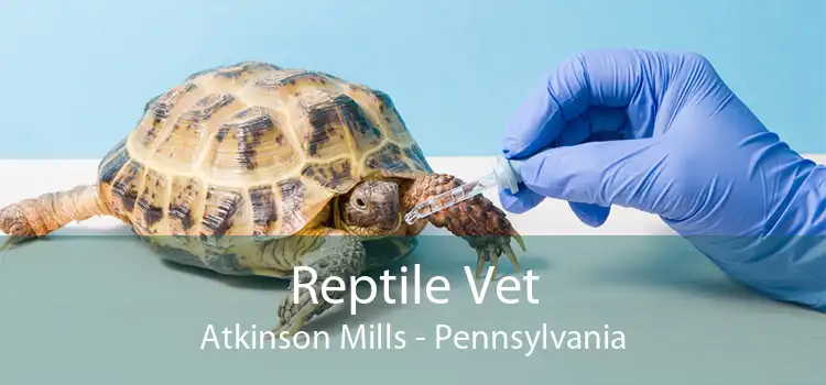 Reptile Vet Atkinson Mills - Pennsylvania