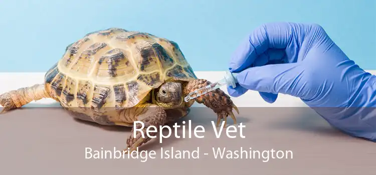 Reptile Vet Bainbridge Island - Washington