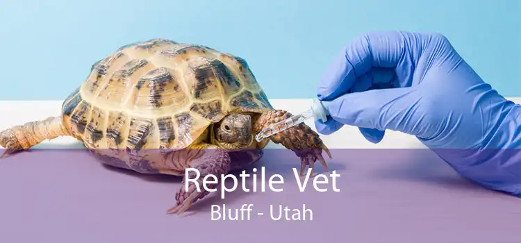 Reptile Vet Bluff - Utah