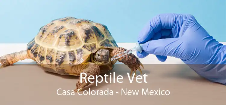 Reptile Vet Casa Colorada - New Mexico