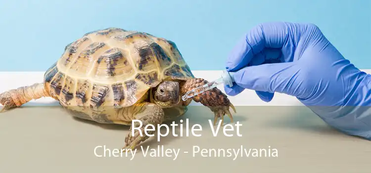 Reptile Vet Cherry Valley - Pennsylvania