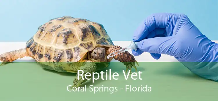 Reptile Vet Coral Springs - Florida