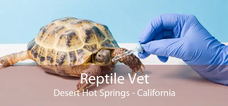 Reptile Vet Desert Hot Springs - California