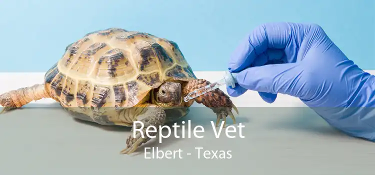 Reptile Vet Elbert - Texas