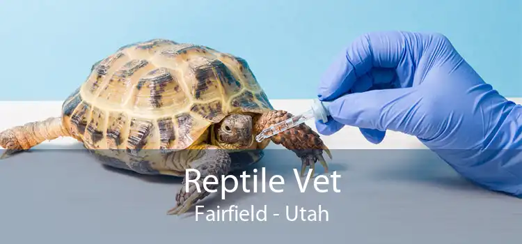 Reptile Vet Fairfield - Utah