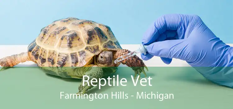 Reptile Vet Farmington Hills - Michigan