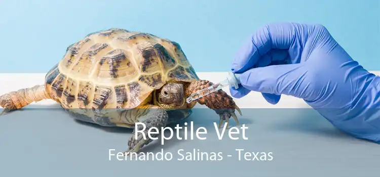 Reptile Vet Fernando Salinas - Texas