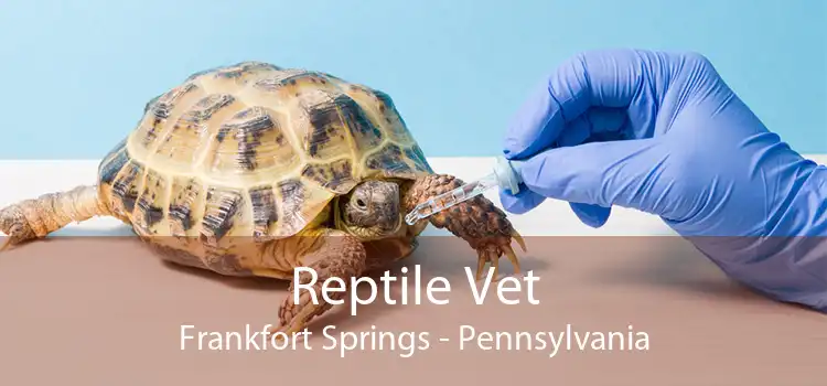 Reptile Vet Frankfort Springs - Pennsylvania