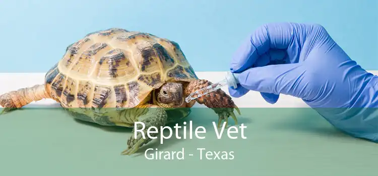 Reptile Vet Girard - Texas