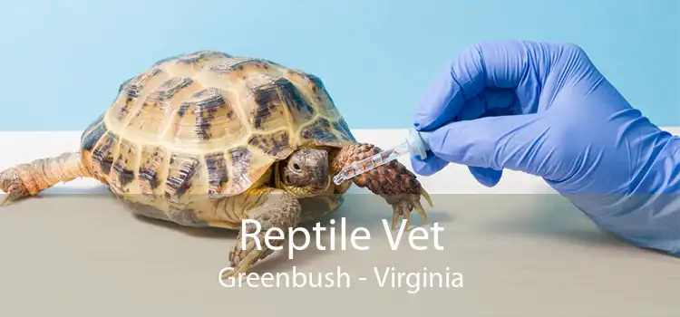 Reptile Vet Greenbush - Virginia