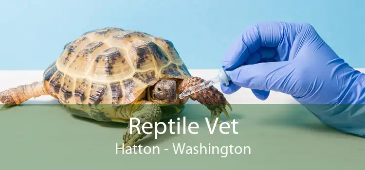 Reptile Vet Hatton - Washington
