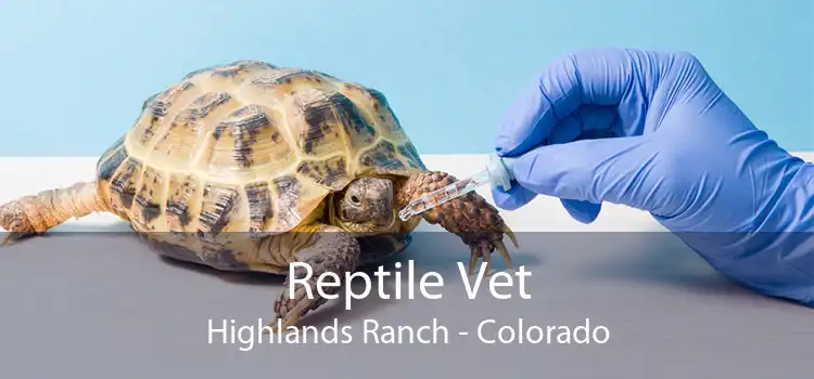Reptile Vet Highlands Ranch - Colorado