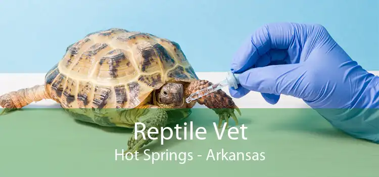 Reptile Vet Hot Springs - Arkansas