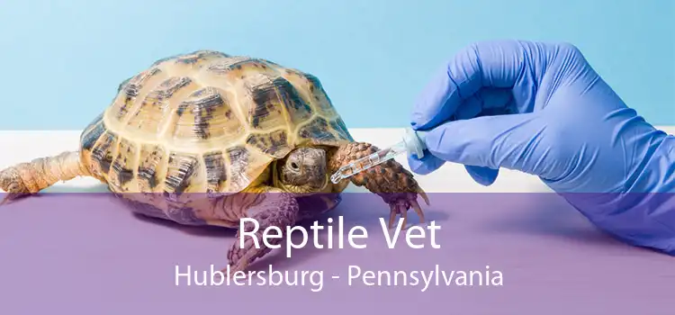 Reptile Vet Hublersburg - Pennsylvania