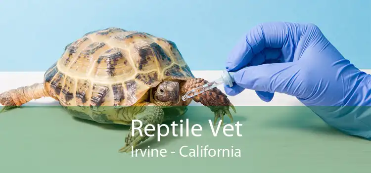 Reptile Vet Irvine - California