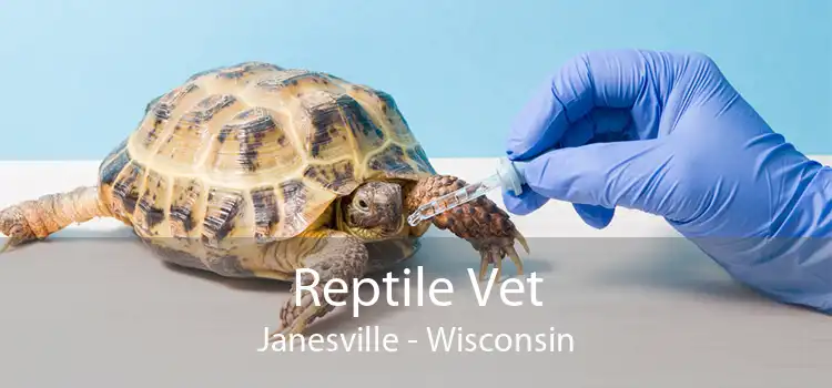 Reptile Vet Janesville - Wisconsin