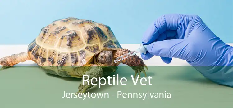 Reptile Vet Jerseytown - Pennsylvania