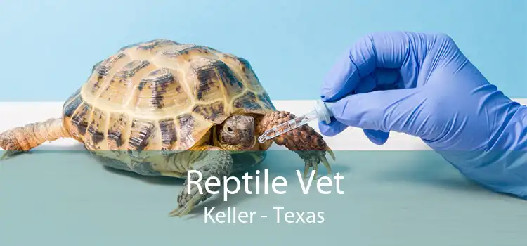 Reptile Vet Keller - Texas