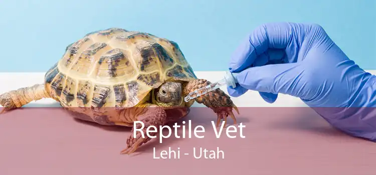 Reptile Vet Lehi - Utah