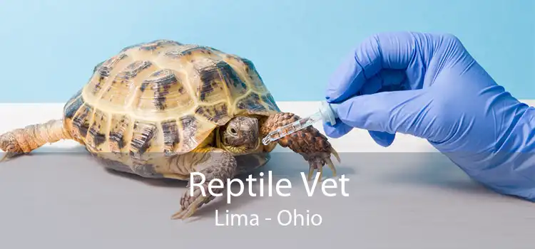 Reptile Vet Lima - Ohio