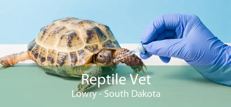 Reptile Vet Lowry - South Dakota