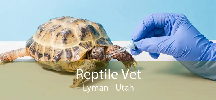Reptile Vet Lyman - Utah
