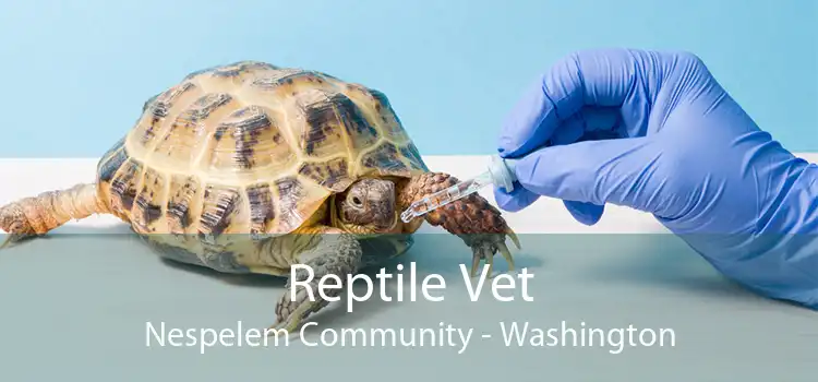 Reptile Vet Nespelem Community - Washington