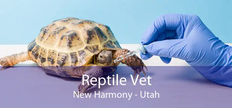 Reptile Vet New Harmony - Utah