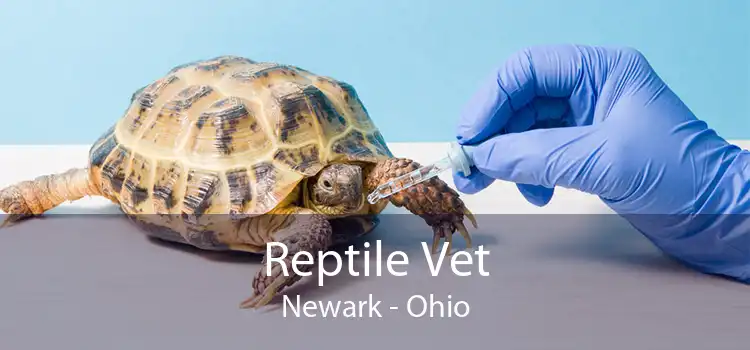 Reptile Vet Newark - Ohio