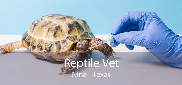 Reptile Vet Nina - Texas