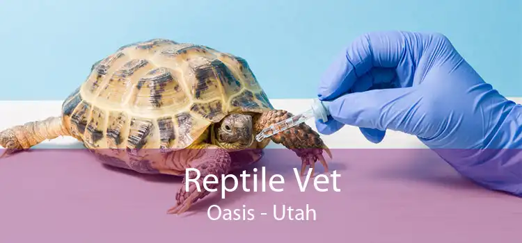 Reptile Vet Oasis - Utah