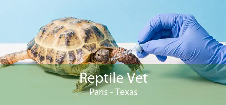 Reptile Vet Paris - Texas