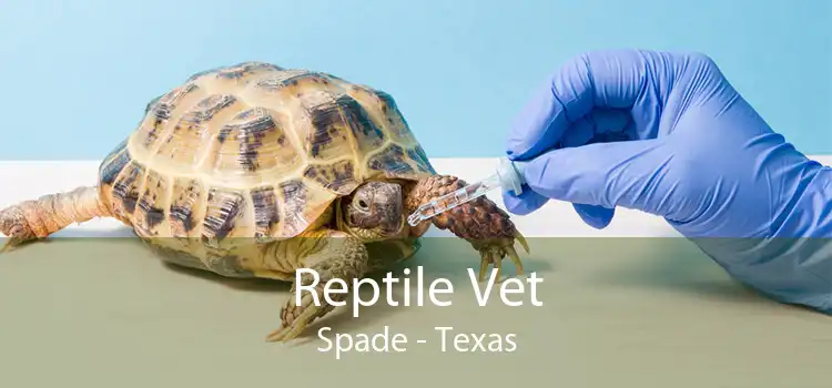 Reptile Vet Spade - Texas