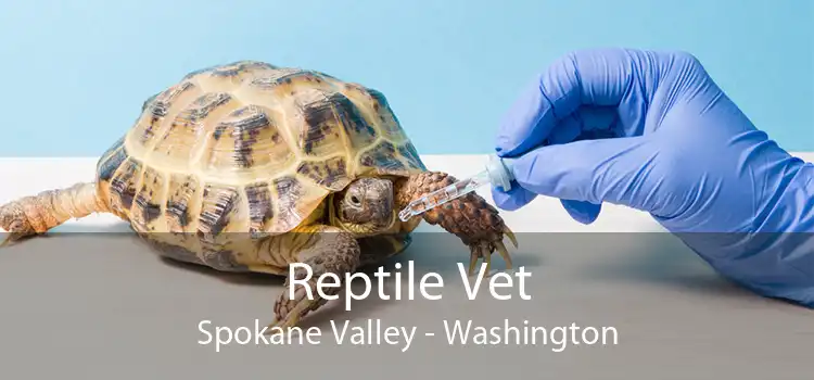 Reptile Vet Spokane Valley - Washington