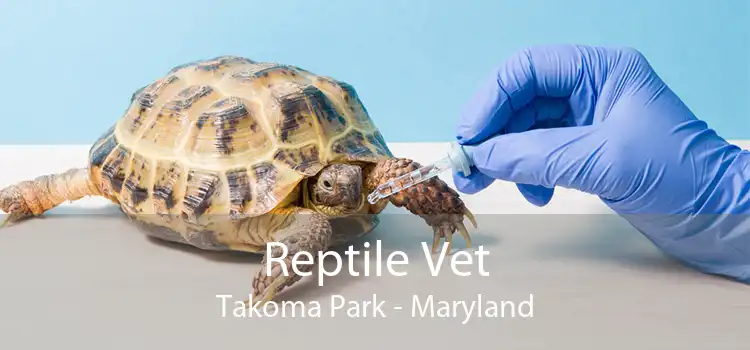 Reptile Vet Takoma Park - Maryland