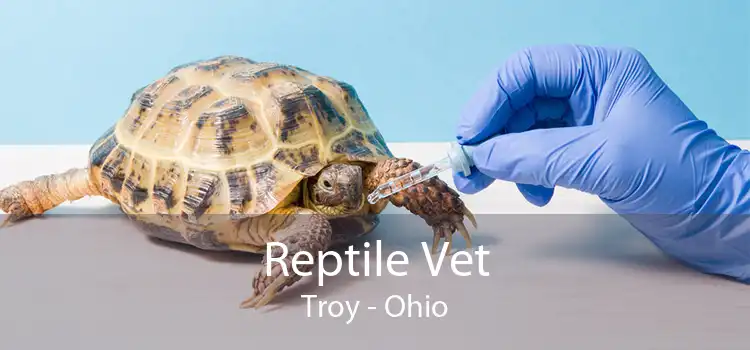 Reptile Vet Troy - Ohio