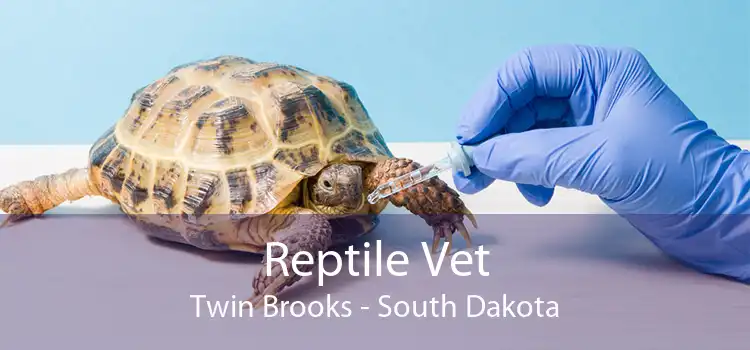 Reptile Vet Twin Brooks - South Dakota