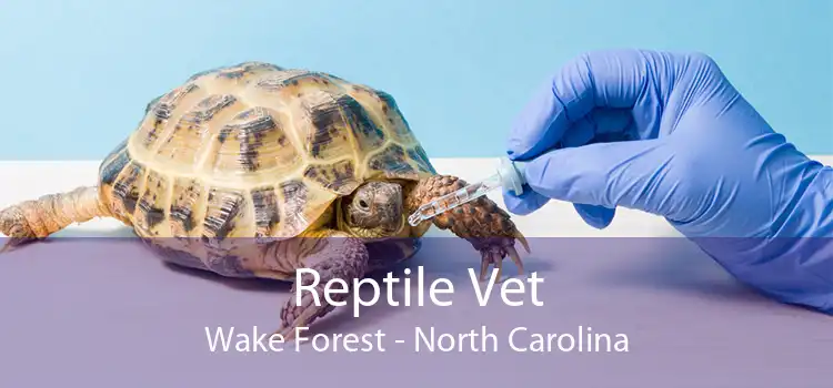 Reptile Vet Wake Forest - North Carolina